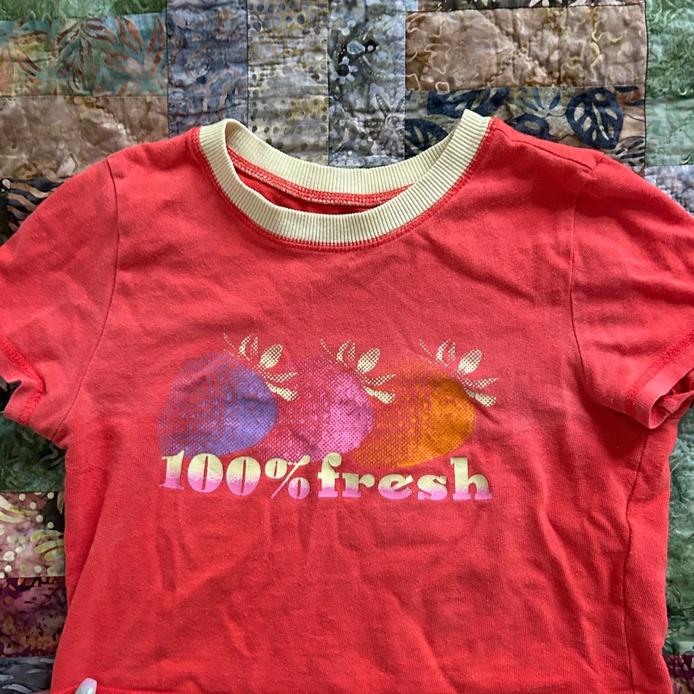 Urban Outfitters Red Crop Top with Fruit Design